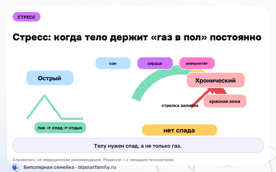 Схема к материалу «Как справиться со стрессом: без «просто расслабься» и волшебных техник»: главный механизм и безопасная точка опоры.