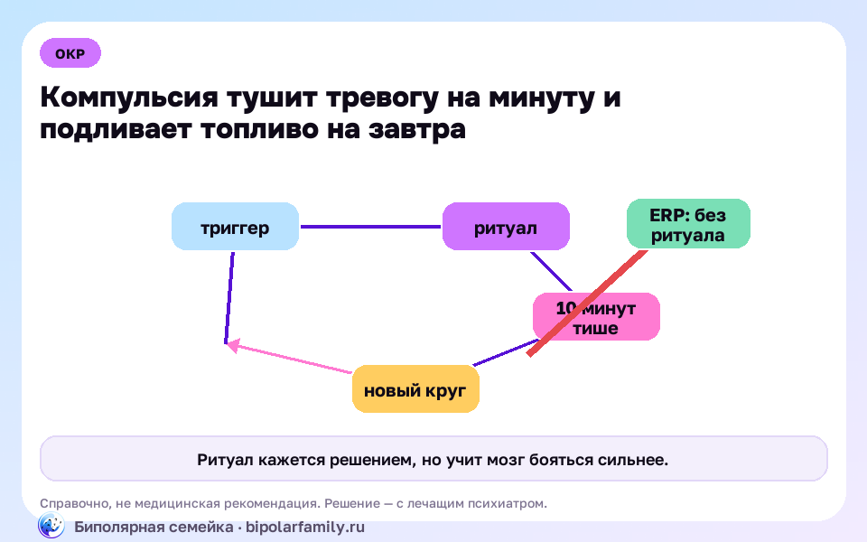 Схема к материалу «Компульсии и ритуалы: почему проверки и мытьё не успокаивают, а затягивают»: главный механизм и безопасная точка опоры.