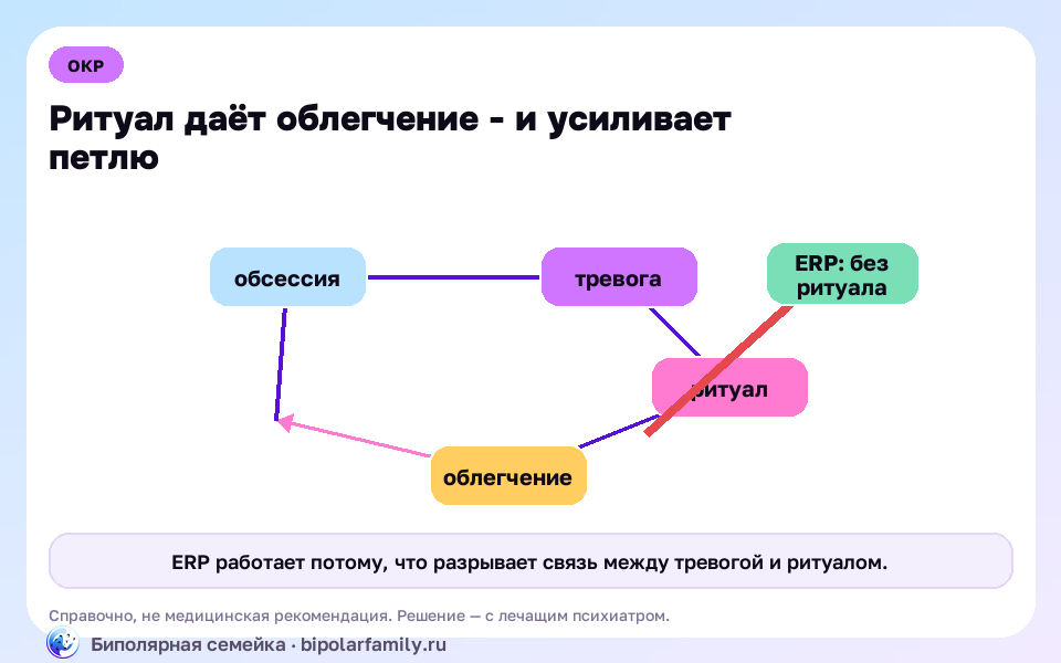 Схема к материалу «ОКР: что это на самом деле, почему борьба его кормит и как выбираются»: главный механизм и безопасная точка опоры.