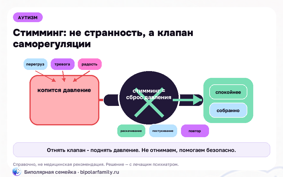 Схема к материалу «Стимминг: зачем люди раскачиваются, щёлкают и теребят — и почему это не надо «отучать»»: главный механизм и безопасная точка опоры.