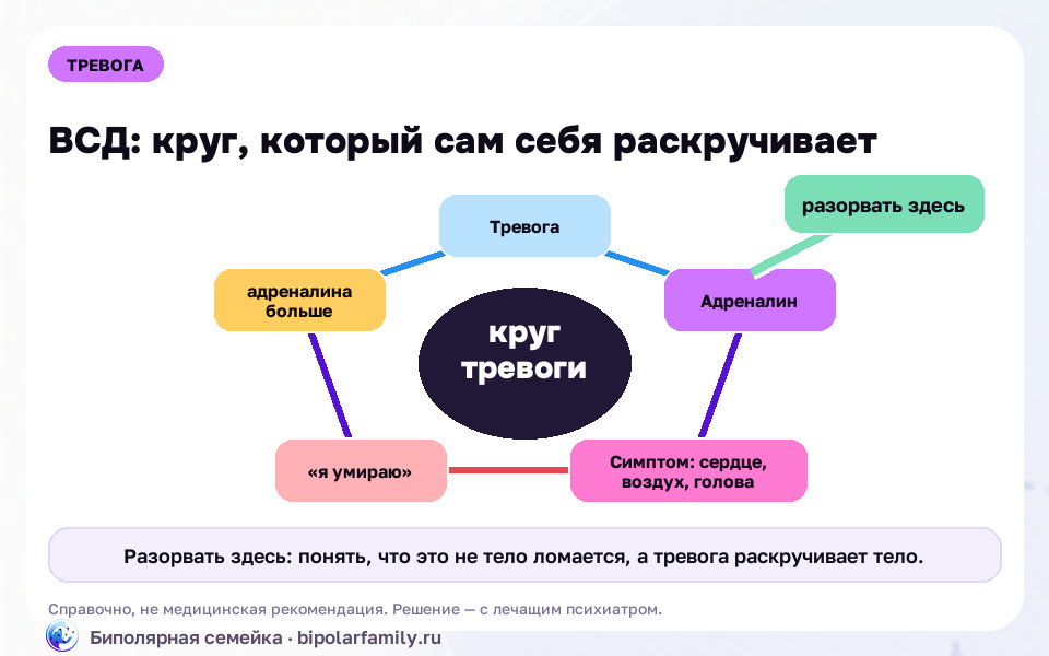 Круг ВСД раскручивается страхом симптомов: тревога даёт адреналин, симптомы пугают, адреналина становится больше.