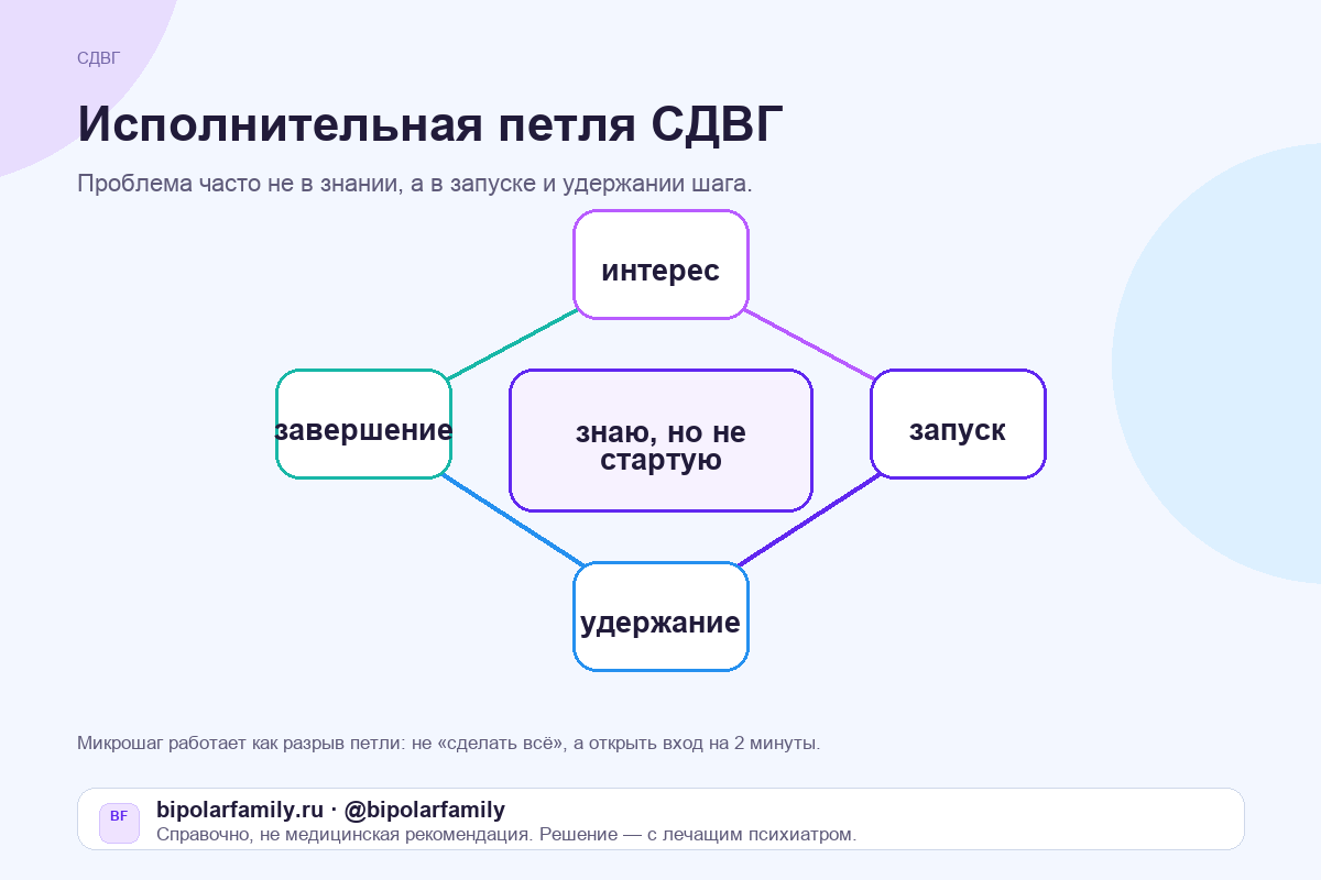 Исполнительная петля при СДВГ: цель, запуск, удержание, переключение и завершение действия