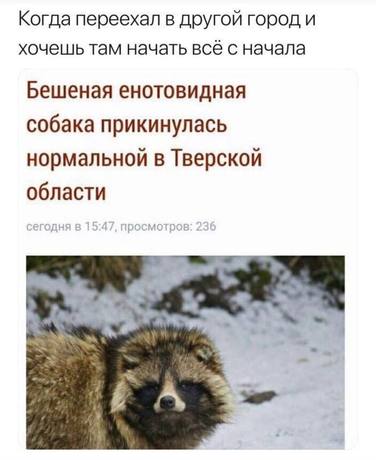 Мем про биполярку и депрессию №24