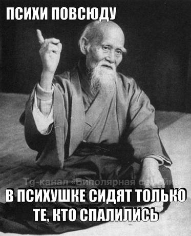 Мем про биполярку и депрессию №27